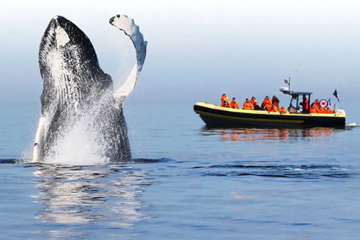 رودخانه سن‌لوران، ۱۲۰۰ کیلومتر جادوی طبیعت